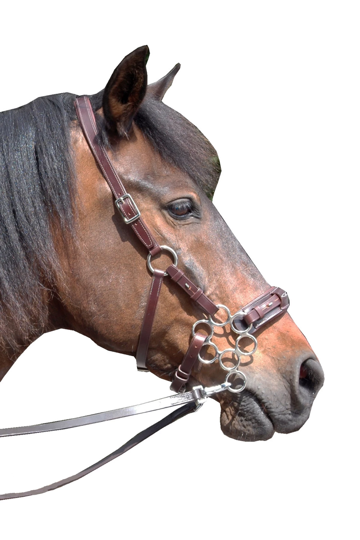 FRA Aram Hackamore (System 2) Leather, Jaw Straps, W/ Scissors 5 FRA Aram Hackamore (System 2) Leather, Jaw Straps, W/ Scissors - Image 3