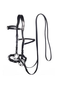 FRA Caval Compl. Cavemore Bridle (Syst.2) W/ Scissors & Reins