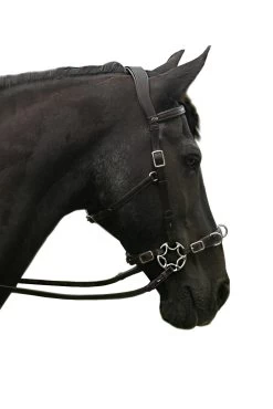 FRA Caval Compl. Cavemore Bridle (Syst.2) W/ Scissors & Reins 8 FRA Caval Compl. Cavemore Bridle (Syst.2) W/ Scissors & Reins -Sports - Horse Equipment Shop 322948 BL 3