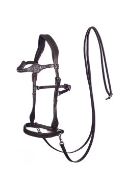 FRA Dandy Sidepull (System 3) Leather, W/ Leather Clip Reins -Sports - Horse Equipment Shop 322950 BR 1