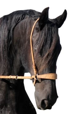 FRA Lami Bitless Bridle (System 4) W/ Reins & Studhook Connect -Sports - Horse Equipment Shop 322954 NAT 1