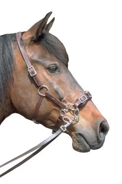 FRA Miranti Hackamore (System 2) Leather, Jaw Straps, W/ Scissors -Sports - Horse Equipment Shop 322958 DBR 2