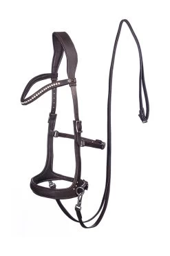 FRA Rebecca Sidepull (System 3), Crystal Finishing W. Rein -Sports - Horse Equipment Shop 322962 BR 1
