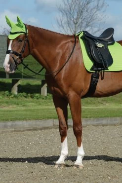 Weatherbeeta Prime Ear Bonnet -Sports - Horse Equipment Shop 323834 LGR 02