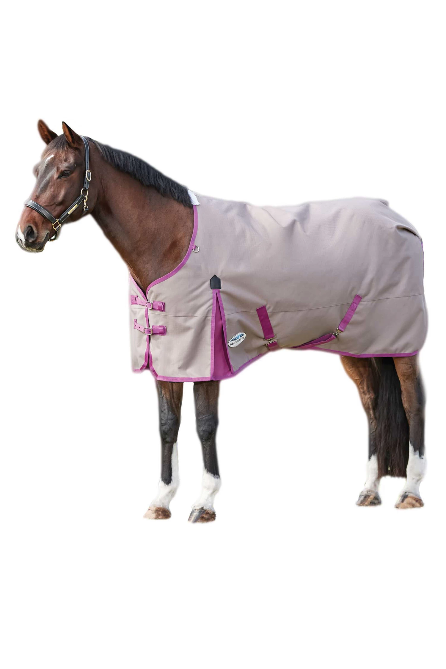 Weatherbeeta Comfitec Essential Plus Turnout Rug, 50g 4 Weatherbeeta Comfitec Essential Plus Turnout Rug, 50g - Image 2