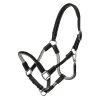 Kavalkade Rope Halter Set Cavo -Sports - Horse Equipment Shop 325340 BL BL 1