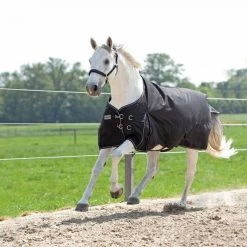 Kavalkade Turnout Rug Alaska IV Fleece