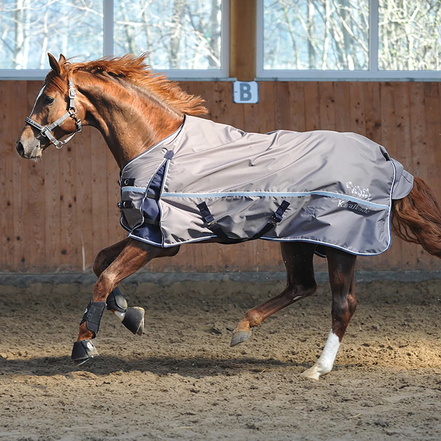 Kavalkade Turnout Rug Alaska IV Fleece 4 Kavalkade Turnout Rug Alaska IV Fleece - Image 2