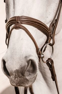 Schockemöhle Noseband Tokyo Select -Sports - Horse Equipment Shop 326299 OBR OWH SI 2