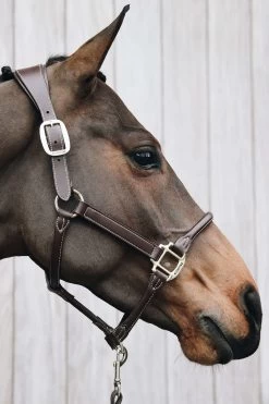 Kentucky Horsewear Leather Anatomic Halter -Sports - Horse Equipment Shop 326418 BR 5