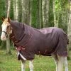 Horseware Amigo Bravo 12 Plus Turnout Rug With Detachable Neck, 100g -Sports - Horse Equipment Shop 326984 BR RE GO 1