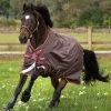 Horseware Amigo Bravo Disc Turnout Rug, 0g 2 Horseware Amigo Bravo Disc Turnout Rug, 0g -Sports - Horse Equipment Shop 326986 BR RE GO 1