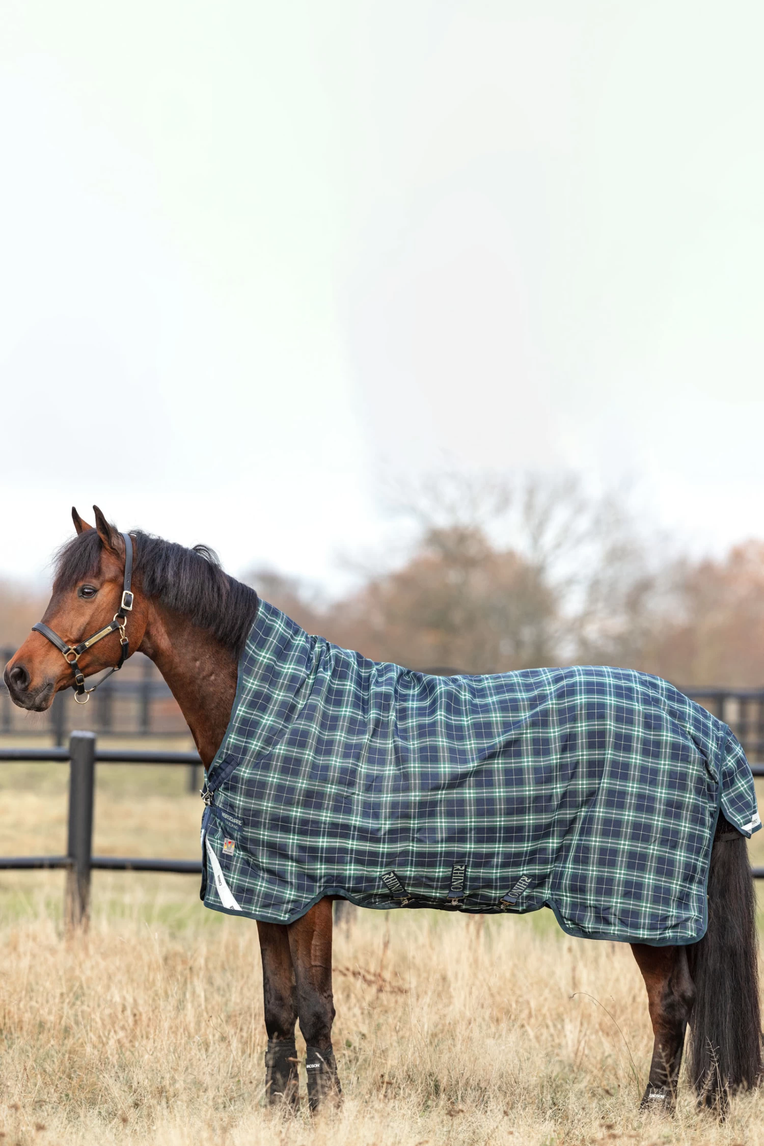 Horseware Rhino Wug Vari-Layer Turnout Rug With High Neck, 250g 4 Horseware Rhino Wug Vari-Layer Turnout Rug With High Neck, 250g - Image 2