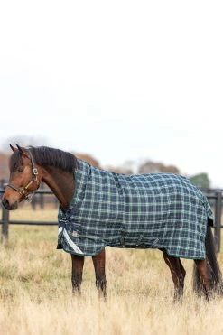 Horseware Rhino Wug Vari-Layer Turnout Rug With High Neck, 250g 7 Horseware Rhino Wug Vari-Layer Turnout Rug With High Neck, 250g -Sports - Horse Equipment Shop 327022 HGR DB 2
