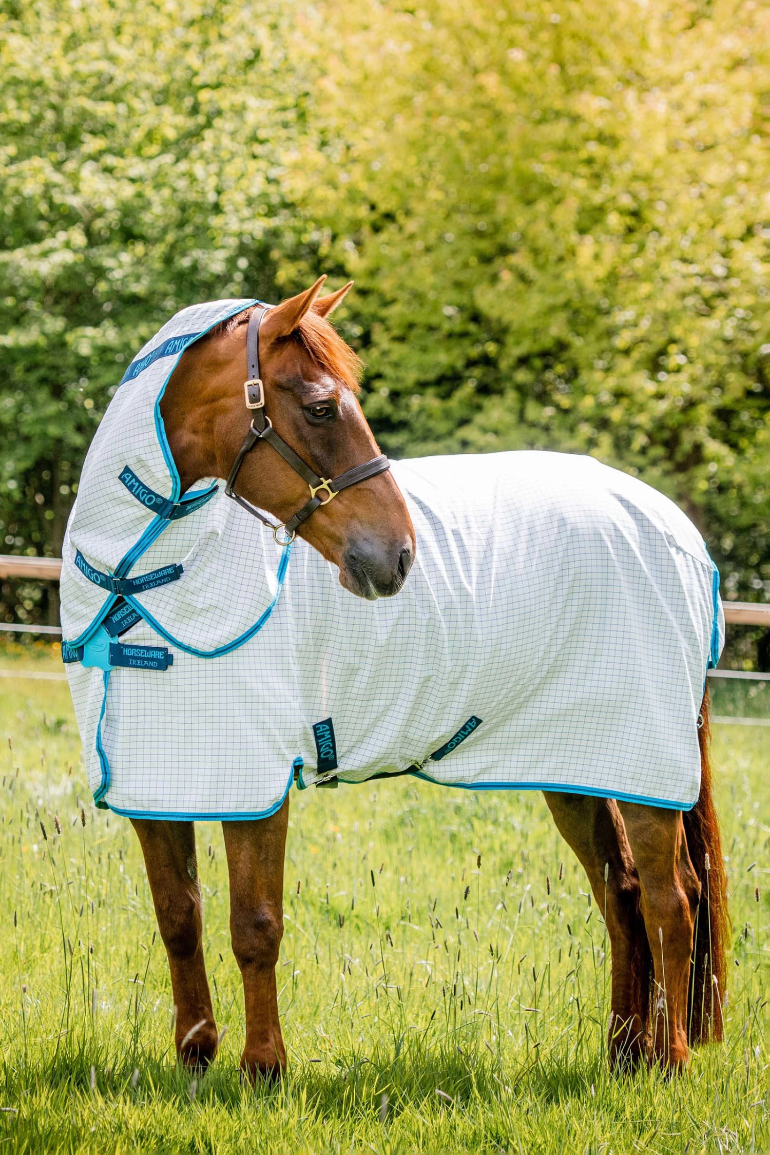 Horseware Amigo Aussie Allrounder Disc Fly Rug With Detachable Neck 5 Horseware Amigo Aussie Allrounder Disc Fly Rug With Detachable Neck - Image 3