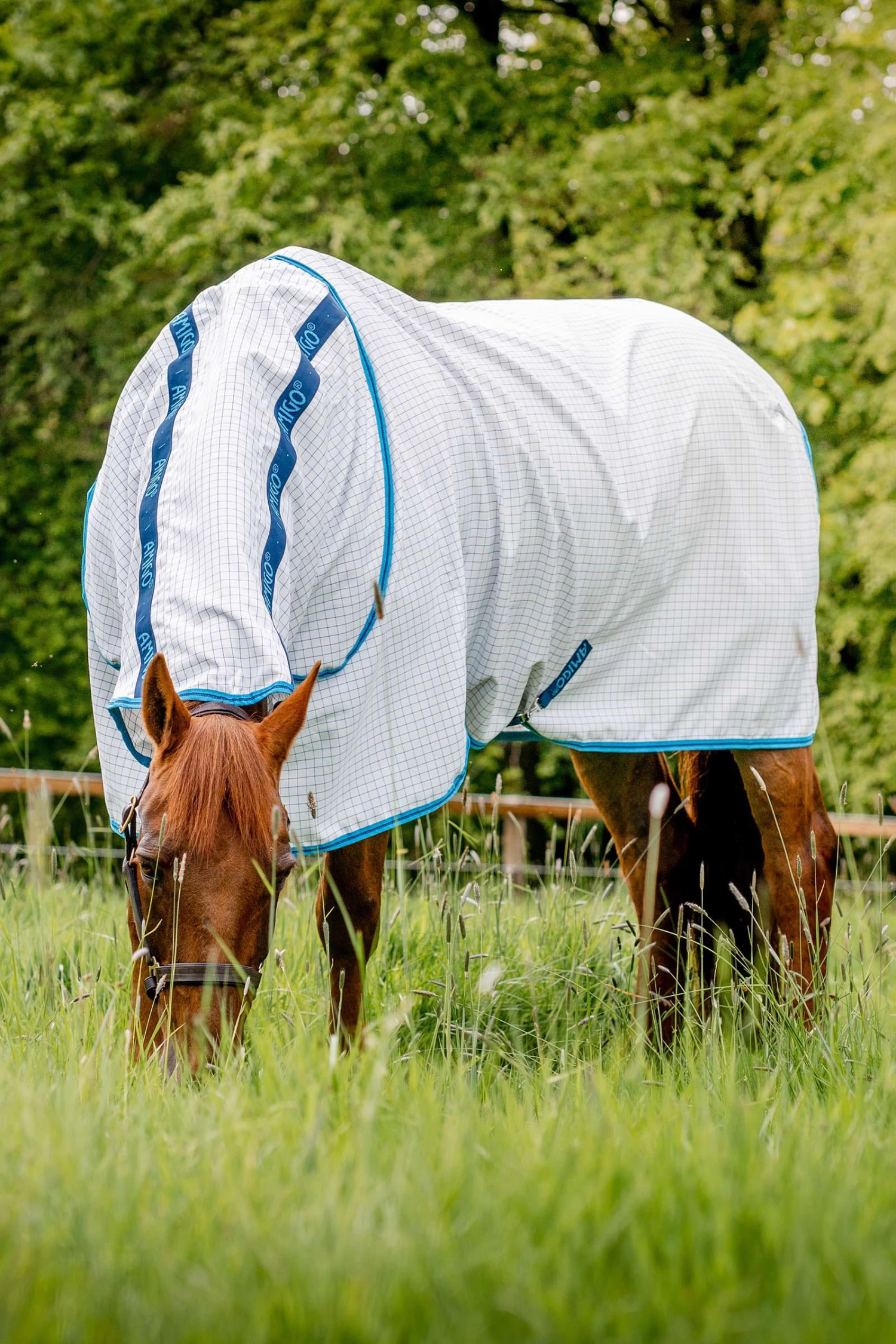 Horseware Amigo Aussie Allrounder Disc Fly Rug With Detachable Neck 6 Horseware Amigo Aussie Allrounder Disc Fly Rug With Detachable Neck - Image 4