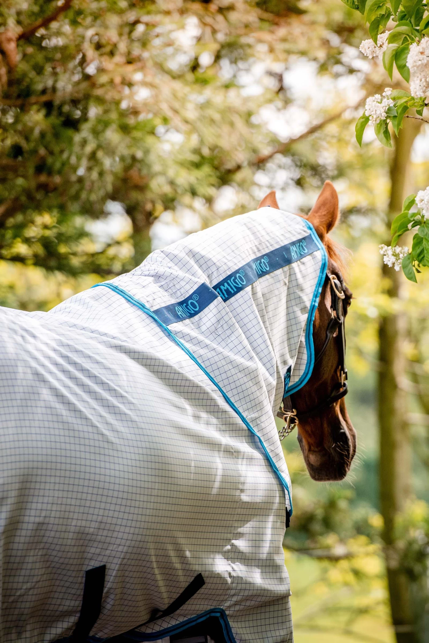 Horseware Amigo Aussie Allrounder Disc Fly Rug With Detachable Neck 8 Horseware Amigo Aussie Allrounder Disc Fly Rug With Detachable Neck - Image 6