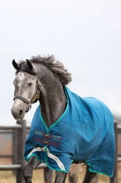 Horseware Rhino Original Turnout Rug, 0g -Sports - Horse Equipment Shop 329443 DB AB 2