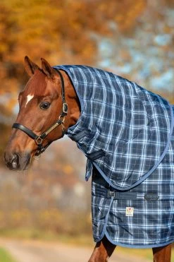 Horseware Rhino Stable Hood, 150g 9 Horseware Rhino Stable Hood, 150g -Sports - Horse Equipment Shop 329445 MDB IDB 1