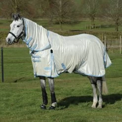 Weatherbeeta Comfitec Essential Mesh II Fly Rug With Fixed Neck -Sports - Horse Equipment Shop 329554 PLBR LB 1