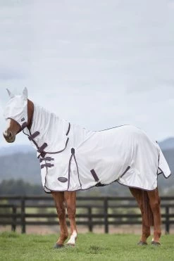 Weatherbeeta Comfitec Essential Mesh II Fly Rug With Fixed Neck -Sports - Horse Equipment Shop 329554 WH DRE 1