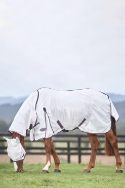 Weatherbeeta Comfitec Essential Mesh II Fly Rug With Fixed Neck -Sports - Horse Equipment Shop 329554 WH DRE 2