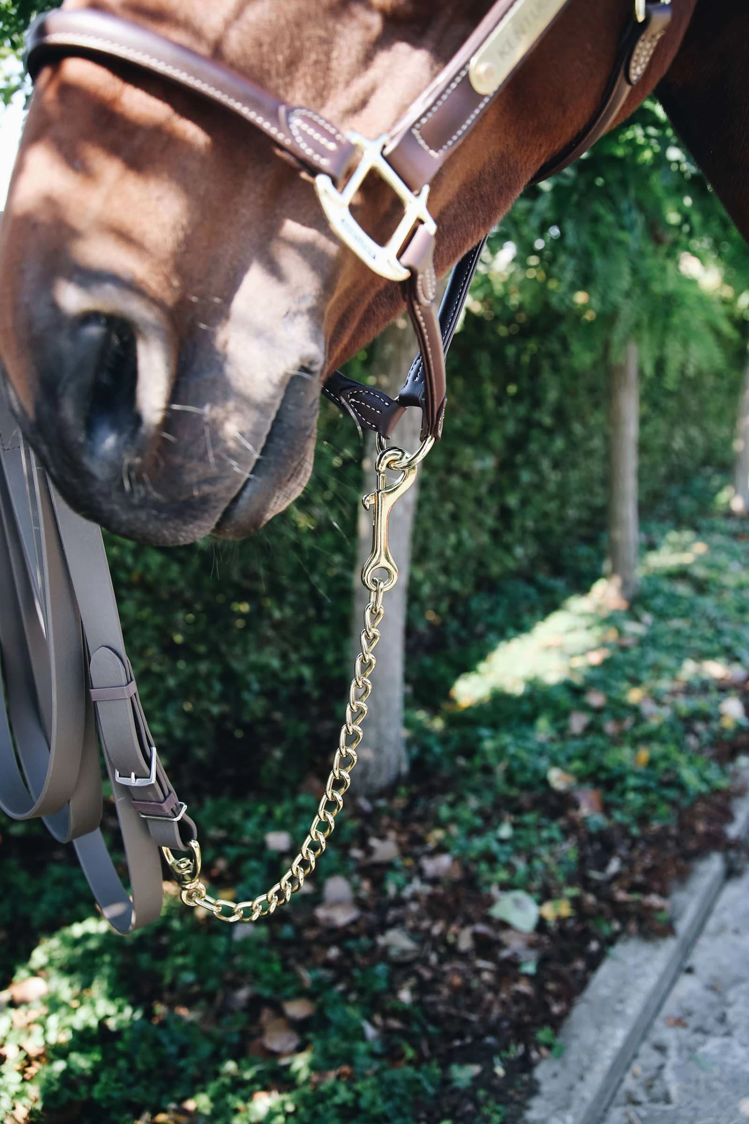 Kentucky Horsewear Stallion Chain 60 Cm 4 Kentucky Horsewear Stallion Chain 60 Cm - Image 2