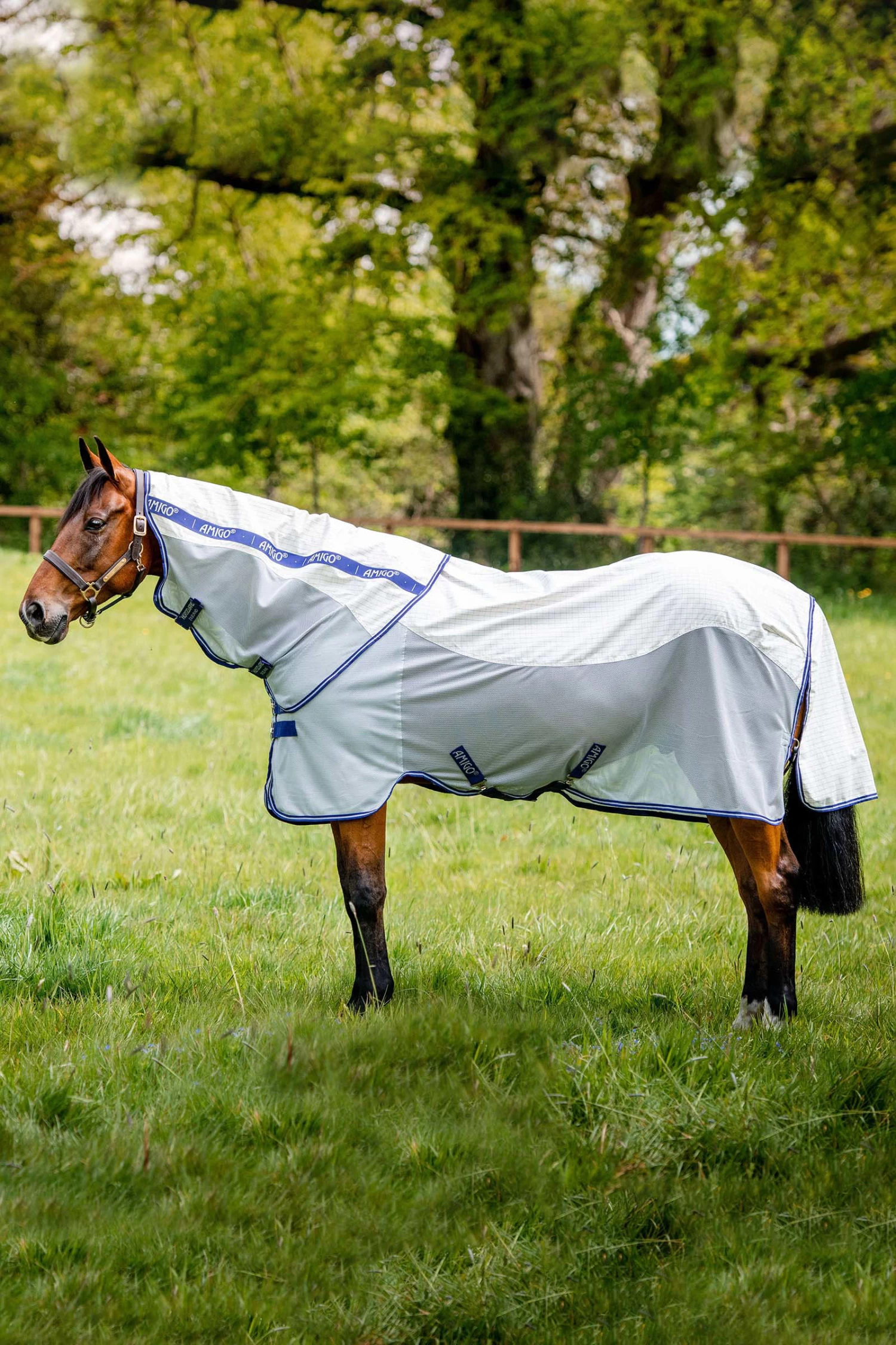 Horseware Amigo Airflow Fly Rug With Detachable Neck 4 Horseware Amigo Airflow Fly Rug With Detachable Neck - Image 2
