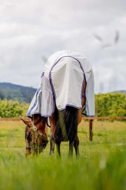 Horseware Amigo Airflow Fly Rug With Detachable Neck 15 Horseware Amigo Airflow Fly Rug With Detachable Neck -Sports - Horse Equipment Shop 331252 DB AB 5