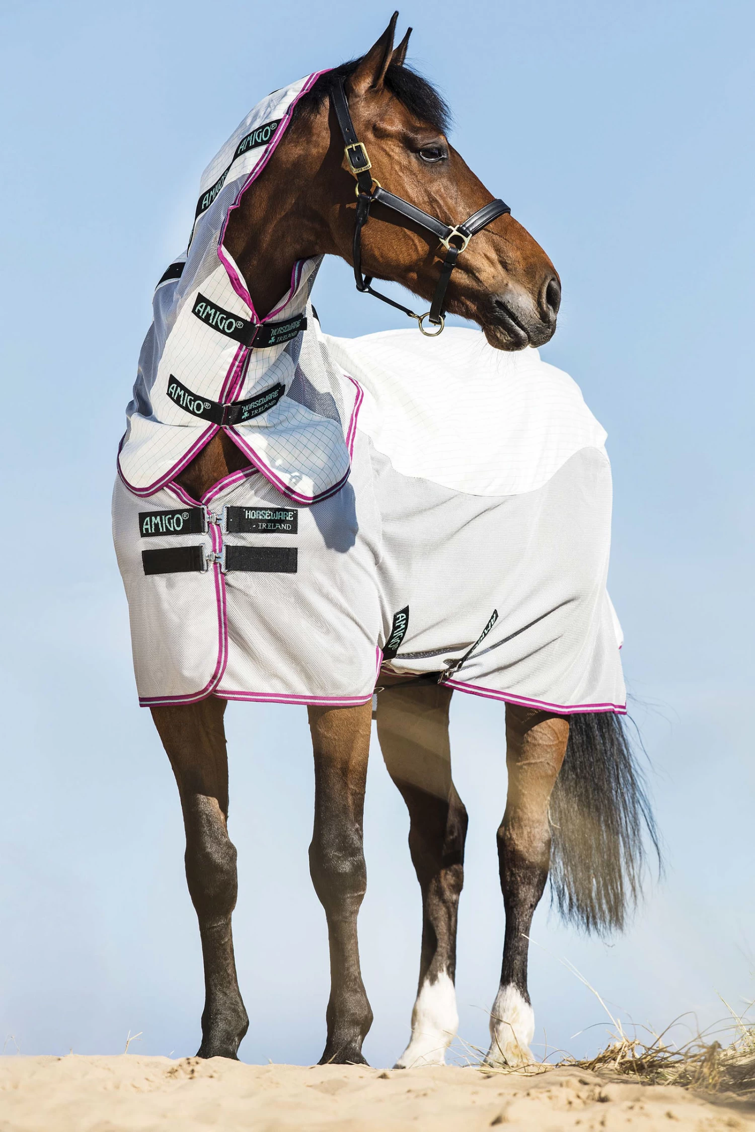 Horseware Amigo Airflow Fly Rug With Detachable Neck 3 Horseware Amigo Airflow Fly Rug With Detachable Neck