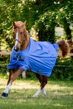 Horseware Amigo Hero Ripstop Turnout Rug, 50g -Sports - Horse Equipment Shop 331254 B DB G 01