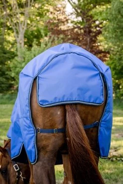 Horseware Amigo Hero Ripstop Turnout Rug, 50g -Sports - Horse Equipment Shop 331254 B DB G 04