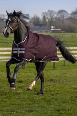 Horseware Amigo Hero Ripstop Turnout Rug, 50g -Sports - Horse Equipment Shop 331254 FPU SI 1