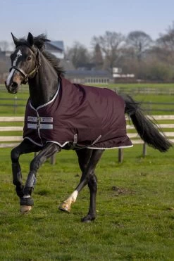 Horseware Amigo Hero Ripstop Turnout Rug, 50g -Sports - Horse Equipment Shop 331254 FPU SI 2