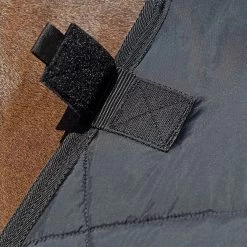 Back On Track Felix Under Rug, 200g -Sports - Horse Equipment Shop 331622 BL 5