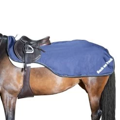 Back On Track Sammy Riding Rug, 50g -Sports - Horse Equipment Shop 331628 DB 1