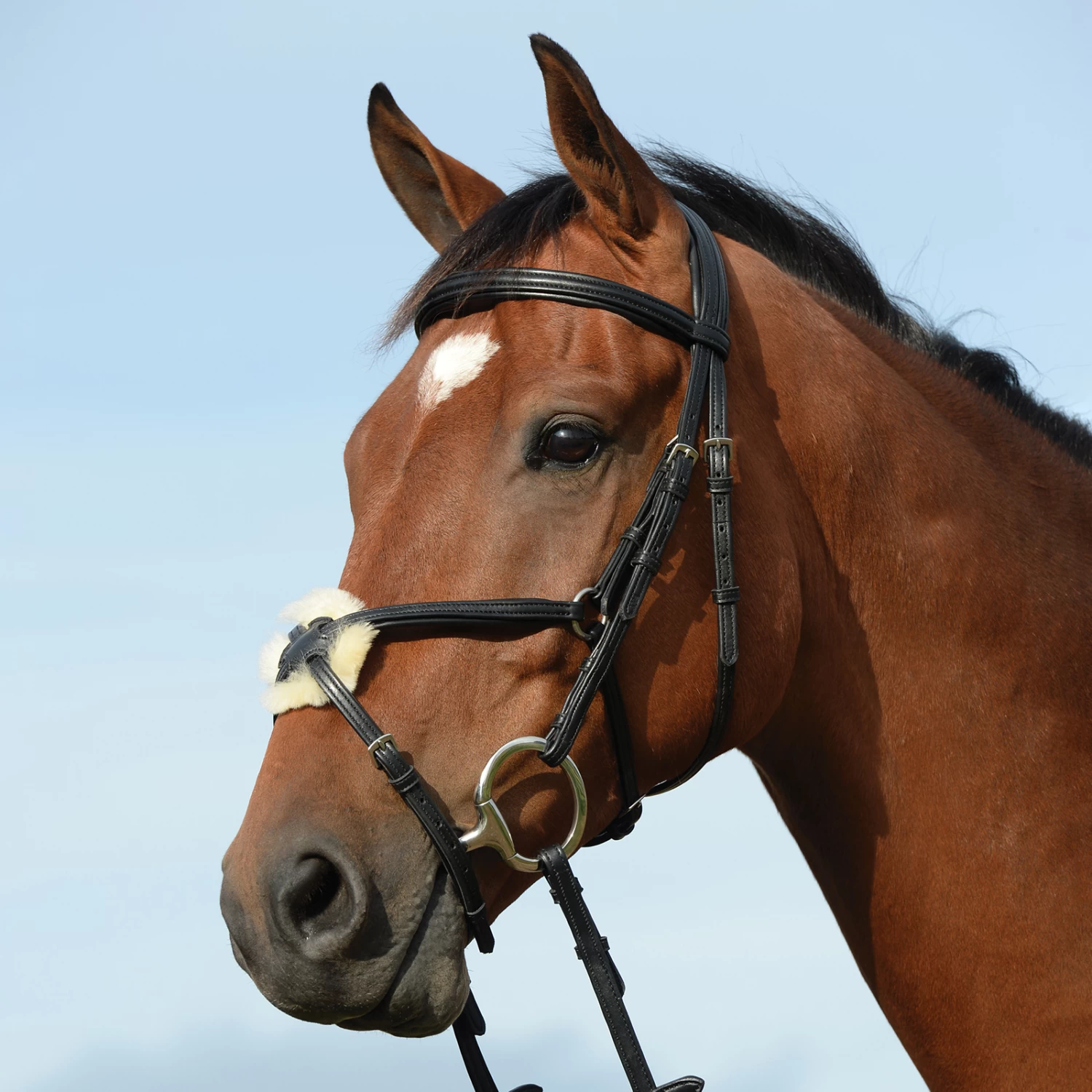 Collegiate Syntovia+ Padded Raised Figure 8 Bridle 3 Collegiate Syntovia+ Padded Raised Figure 8 Bridle