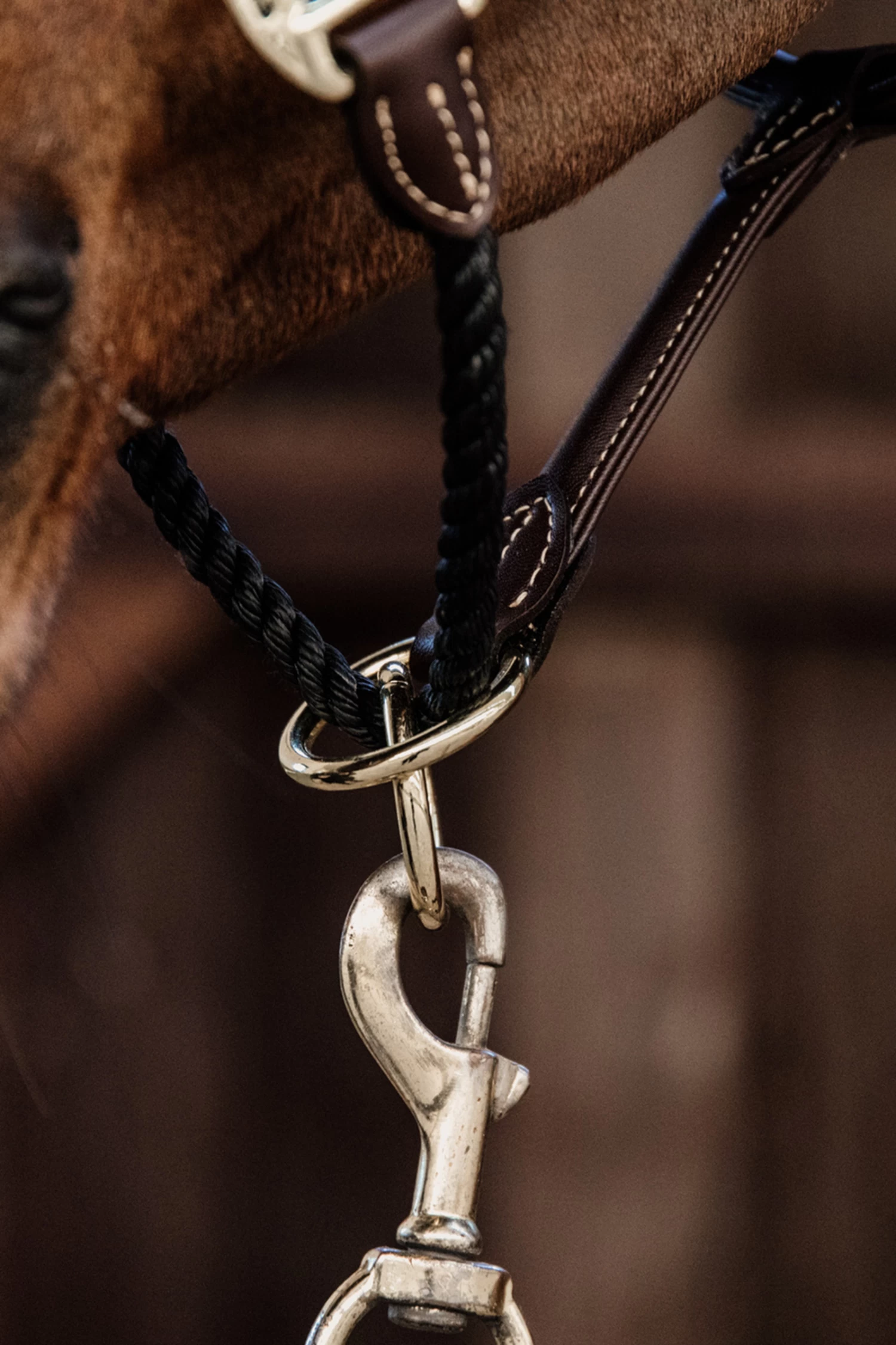 Kentucky Horsewear Leather Rope Halter 5 Kentucky Horsewear Leather Rope Halter - Image 3