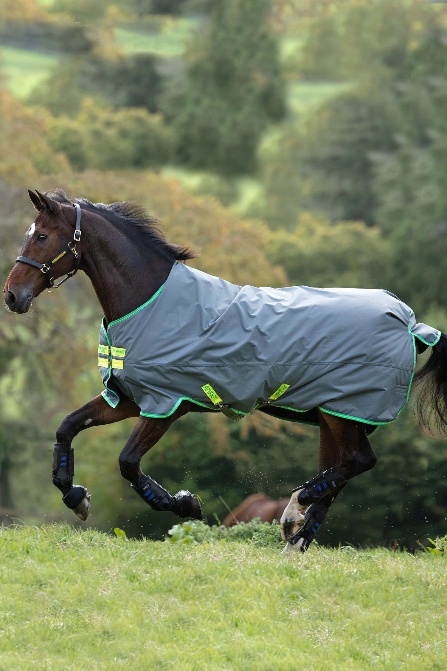 Horseware Amigo Hero 900 T/O Med Turnout Rug, 200g 5 Horseware Amigo Hero 900 T/O Med Turnout Rug, 200g - Image 3