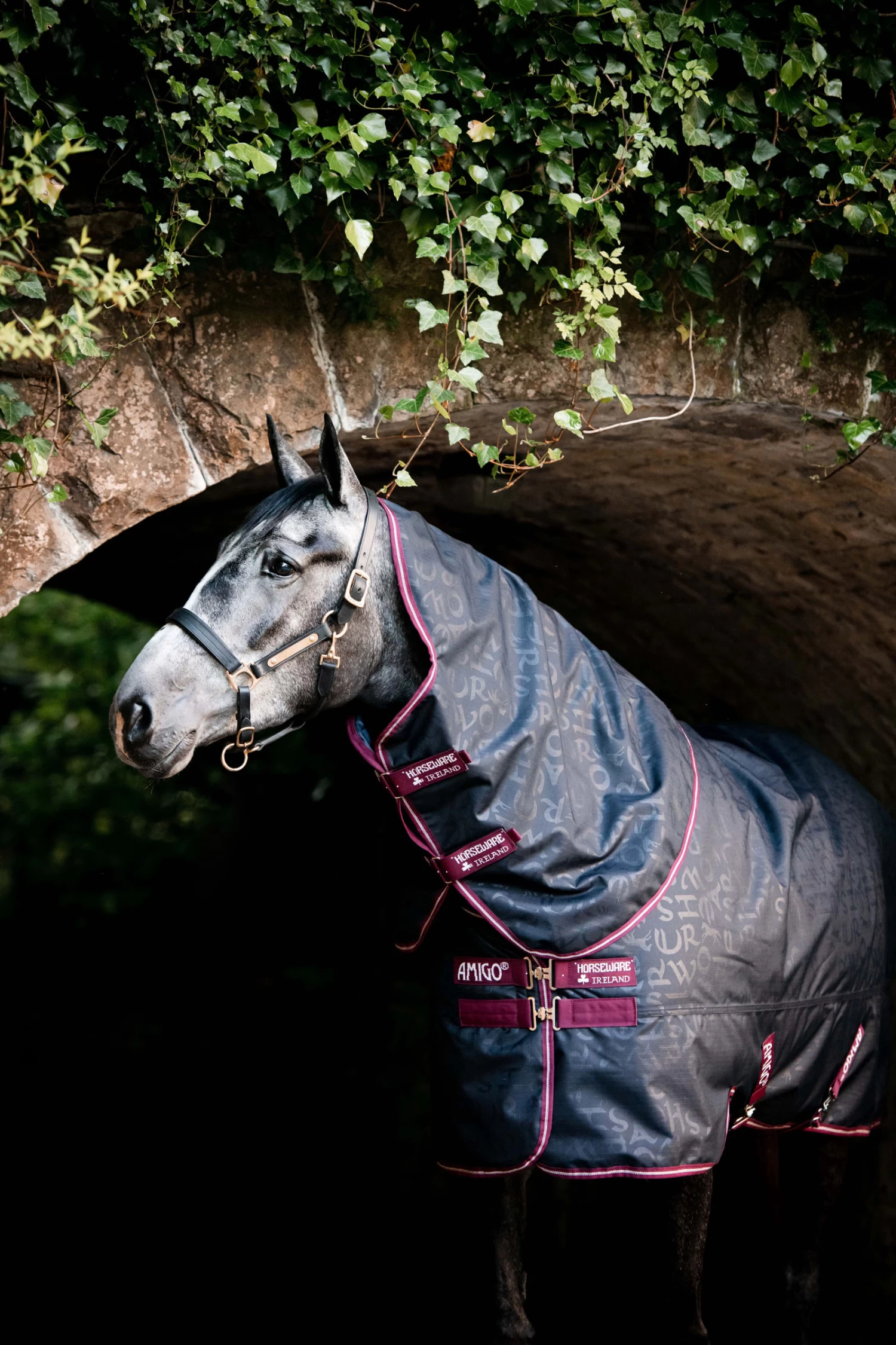 Horseware Amigo Hero Ripstop Plus Turnout With Detachable Hood, 0g 5 Horseware Amigo Hero Ripstop Plus Turnout With Detachable Hood, 0g - Image 3