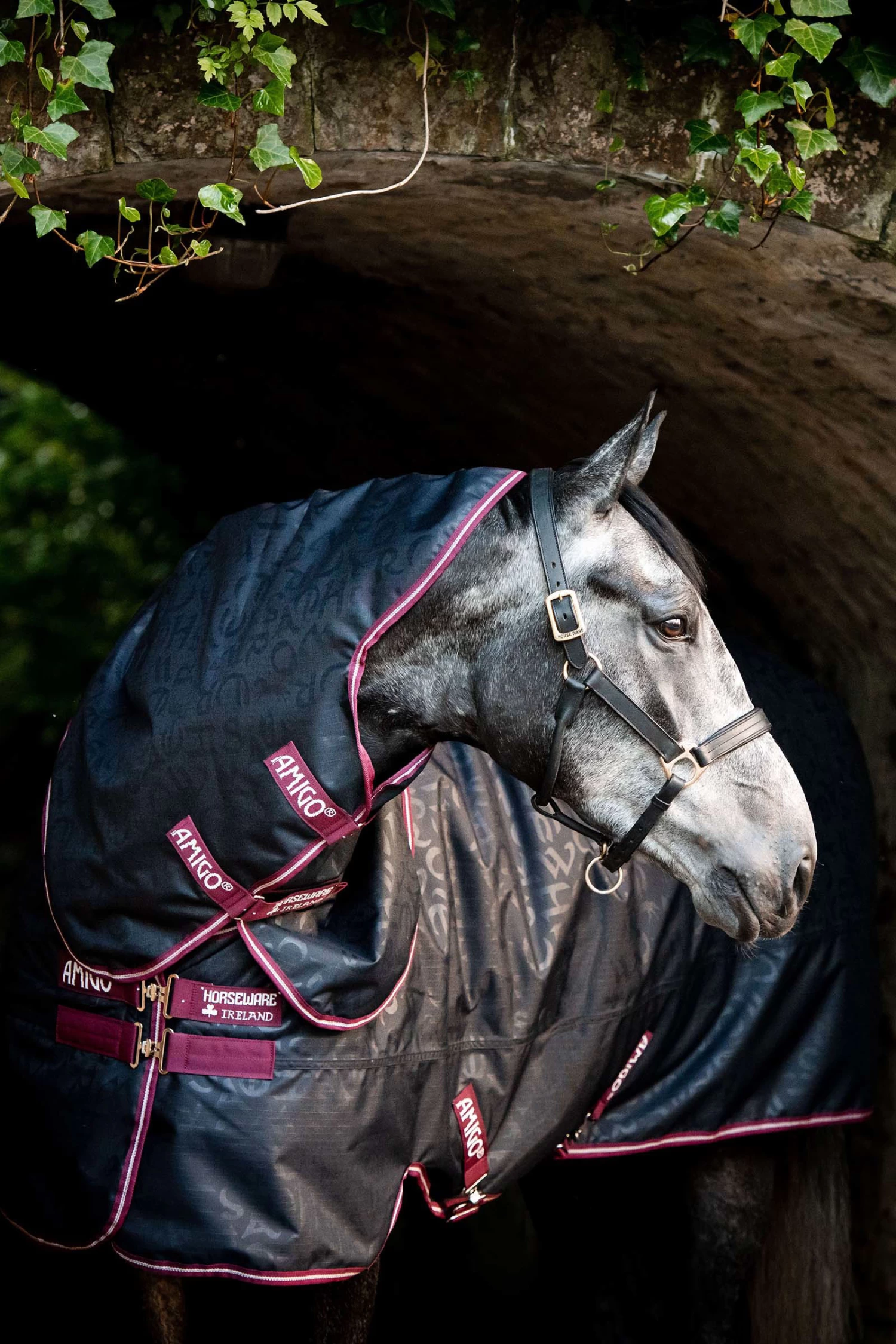 Horseware Amigo Hero Ripstop Plus Turnout With Detachable Hood, 0g 6 Horseware Amigo Hero Ripstop Plus Turnout With Detachable Hood, 0g - Image 4