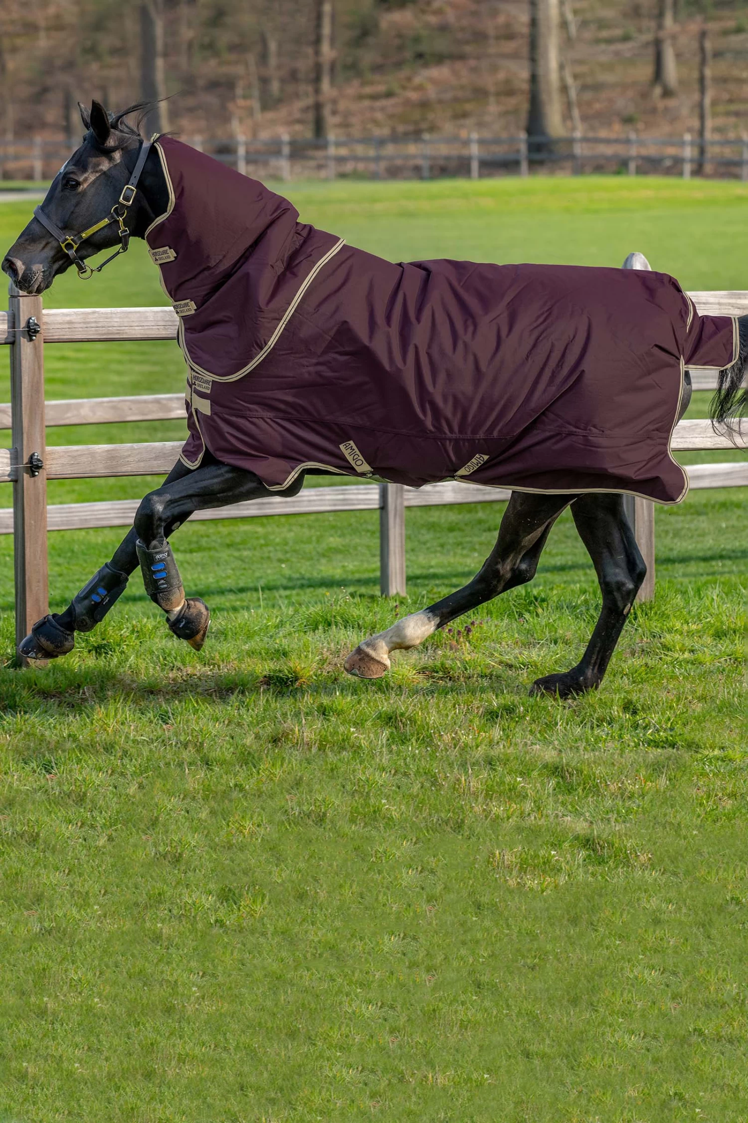 Horseware Amigo Hero Ripstop Plus Turnout With Detachable Hood, 0g 3 Horseware Amigo Hero Ripstop Plus Turnout With Detachable Hood, 0g
