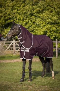 Horseware Amigo Hero Ripstop Plus Medium Turnout Rug With Detachable Neck, 200g -Sports - Horse Equipment Shop 332742 FPU SI 3