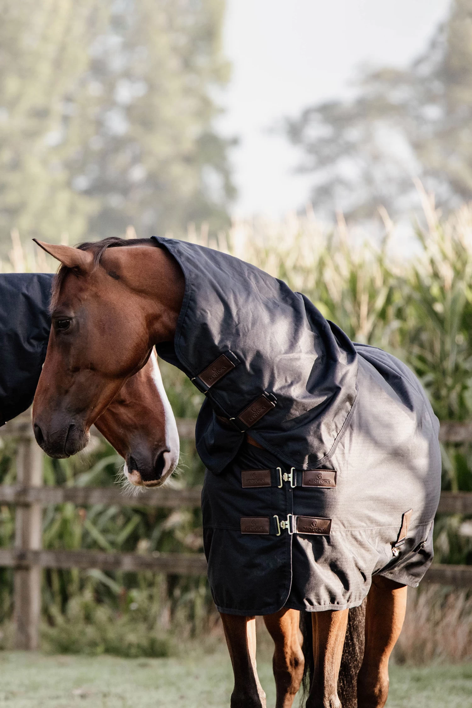 Kentucky Horsewear All Weather Waterproof Classic Turnout Rug, 0g 3 Kentucky Horsewear All Weather Waterproof Classic Turnout Rug, 0g