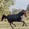 Kentucky Horsewear Turnout Rug All Weather Waterproof Classic, 150g -Sports - Horse Equipment Shop 333287 DB 1