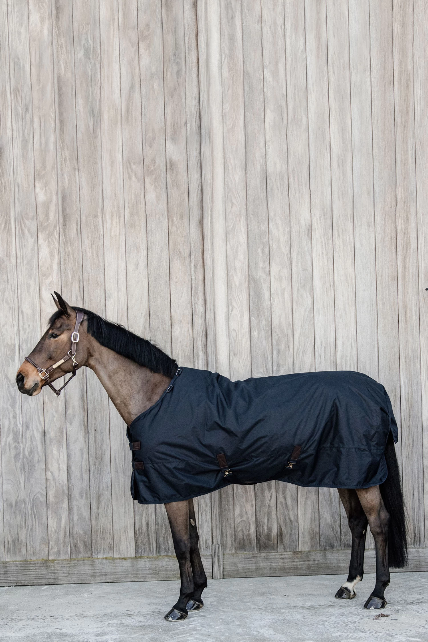 Kentucky Horsewear Turnout Rug All Weather Waterproof Classic, 150g 5 Kentucky Horsewear Turnout Rug All Weather Waterproof Classic, 150g - Image 3