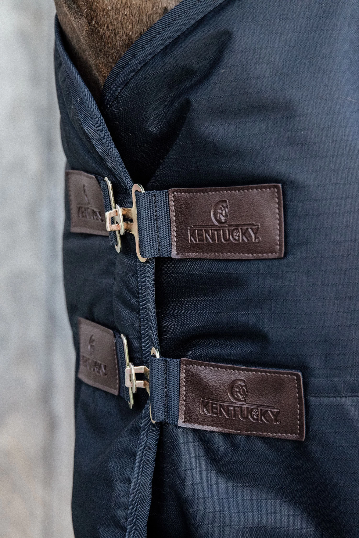 Kentucky Horsewear Turnout Rug All Weather Waterproof Classic, 150g 6 Kentucky Horsewear Turnout Rug All Weather Waterproof Classic, 150g - Image 4