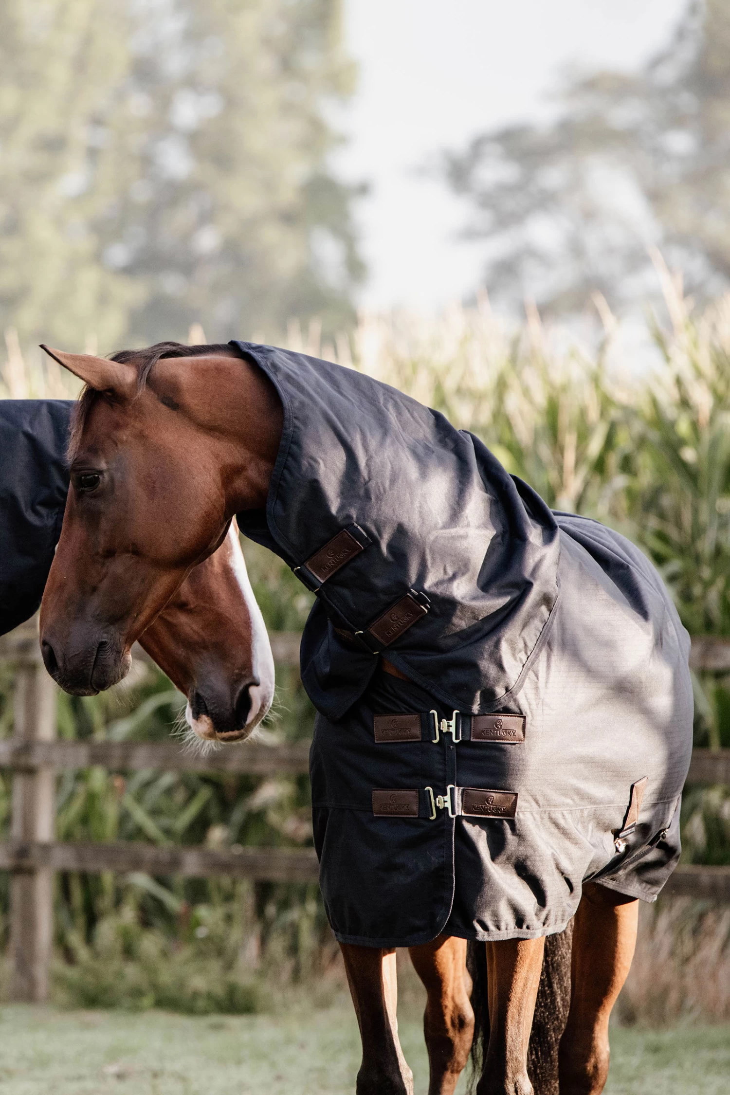 Kentucky Horsewear Turnout Rug All Weather Waterproof Classic, 150g 8 Kentucky Horsewear Turnout Rug All Weather Waterproof Classic, 150g - Image 6