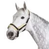 Eskadron Fauxfur Headcollar Pin Buckle -Sports - Horse Equipment Shop 333386 BL 1