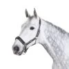 Eskadron Headcollar Pin Buckle -Sports - Horse Equipment Shop 333403 ANT WH BL 1